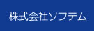 ソフテム